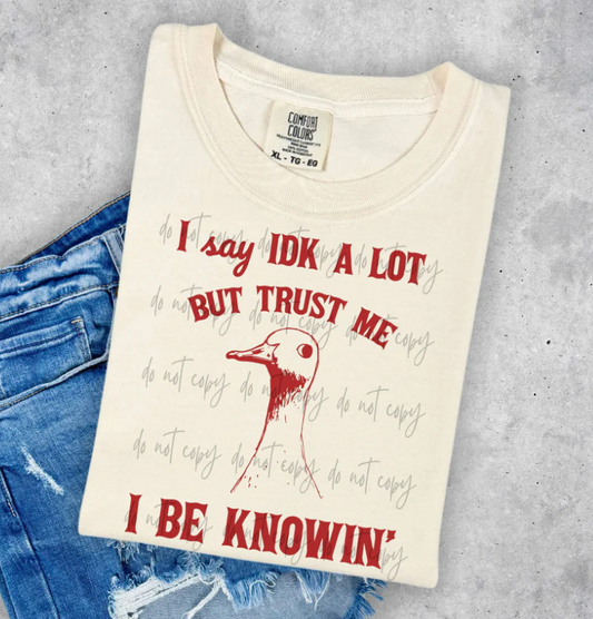 I Say IDK A Lot But Trust Me I Be Knowin'