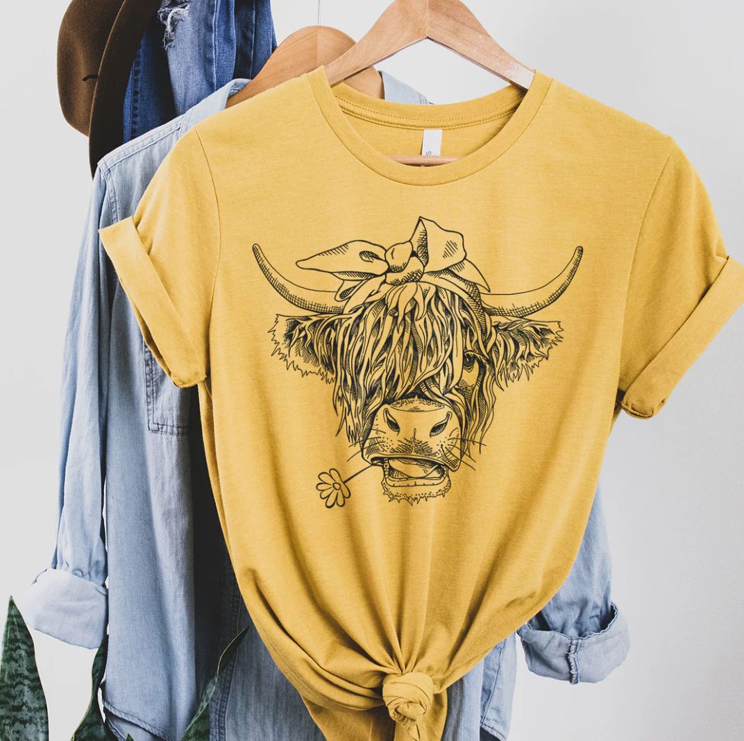 Highland Cow